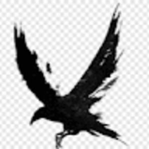 Meet your Posher, Jacqueline